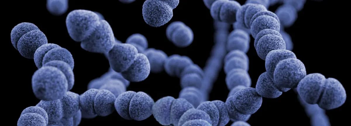 Machine learning analysis visualization