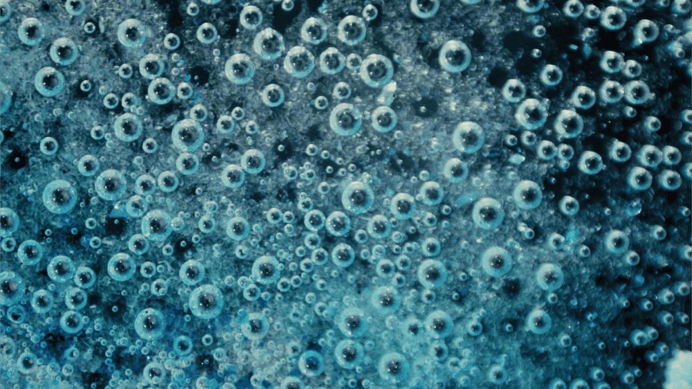 The Hidden Connection: How Your Gut Bacteria Shapes Your Body