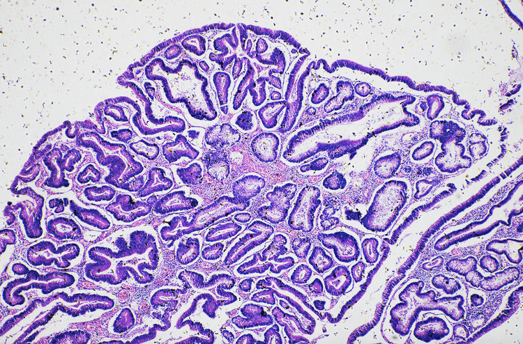 14 Surprising Things You Didn't Know About Your Gut Microbiome