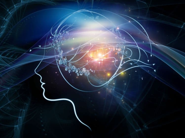 Have You Met Vie, Viome’s Artificial Intelligence System?