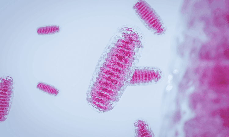 5 Tips for Top Mitochondrial Health