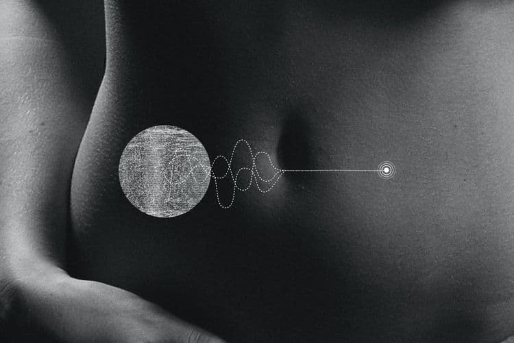 The “Signal in the Noise” - How to Know if Your Gut Microbiome is Off-Kilter