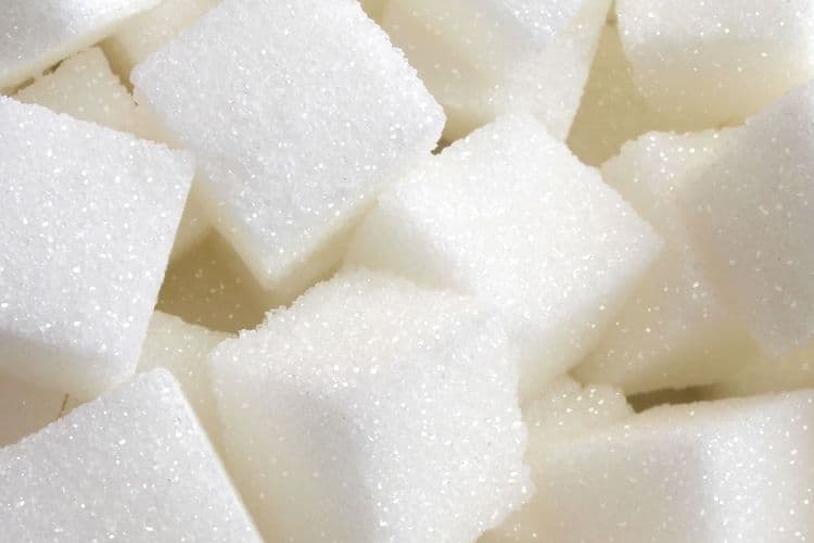 The Not-So-Sweet Side of Sugar and Our Microbiome