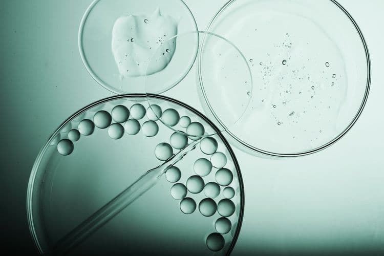 Biochemical Individuality: How Our Biology Influences What We Should Eat