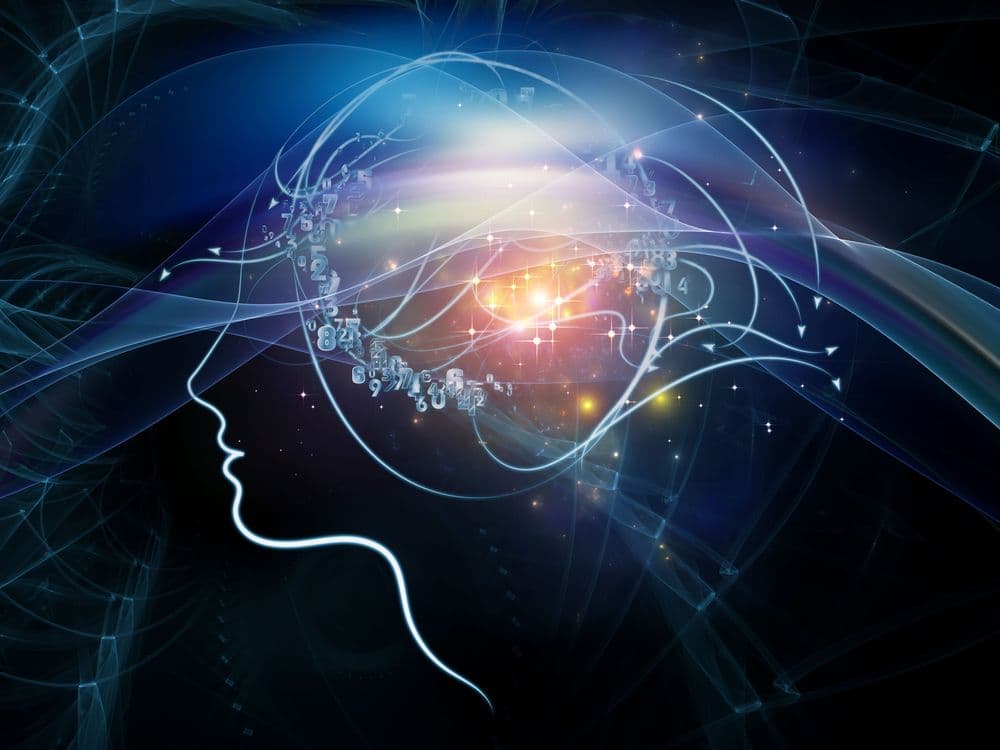 Have You Met Vie, Viome’s Artificial Intelligence System?