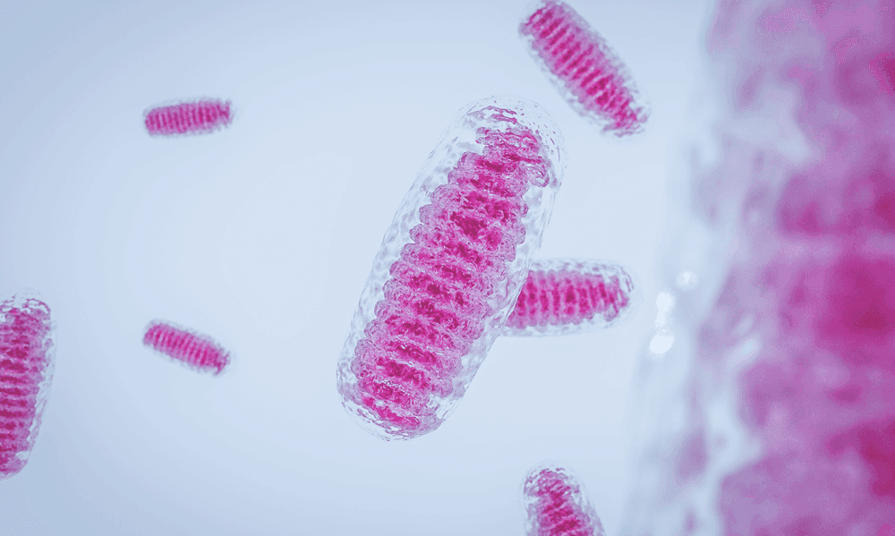 5 Tips for Top Mitochondrial Health