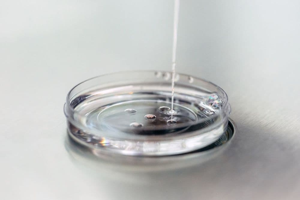 Join the Citizen Scientists: The Future of Science All Depends on YOU