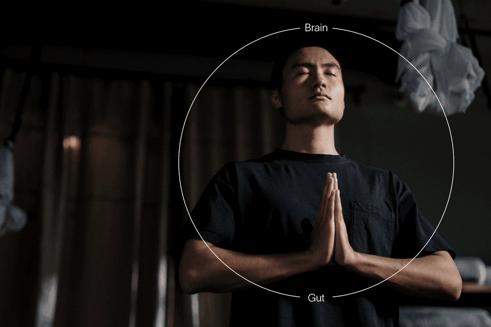 Gut Feelings: How Your Gut and Mind are Connected