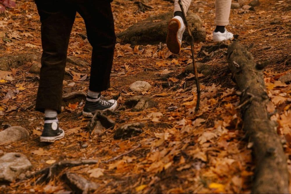 Does Your Environment Affect Your Gut Microbiome?