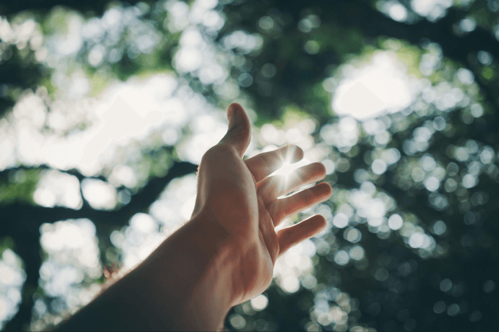 Setting Yourself Up for Success - Key Habits to Meeting Your Goals and Dreams