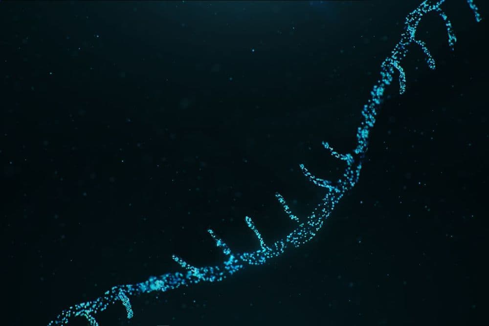 RNA: The New Three-Letter Word Revolutionizing Healthcare