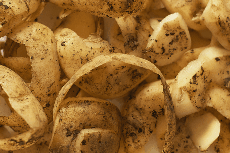 Wait! Don’t Throw Out Those Food Scraps!