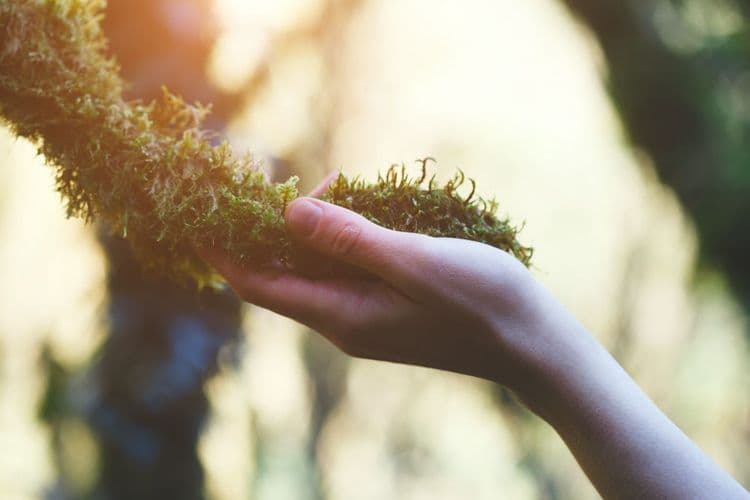 Everything is Connected: The Relationship Between Body and Planet