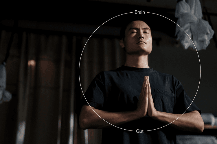 Gut Feelings: How Your Gut and Mind are Connected