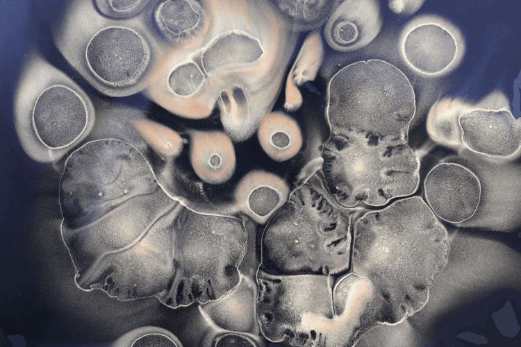 The Oral-Brain Axis: Unraveling the Secrets to a Healthy Mind and Body