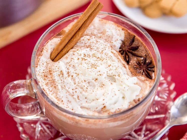 Spicy Gingerbread Hot Cocoa