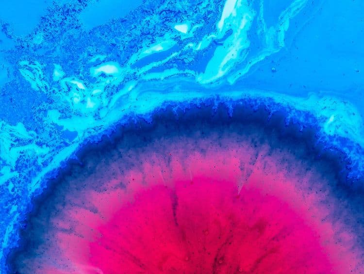 What is Oral and Throat Cancer?