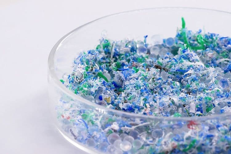 Microplastics: The Invisible Threat in Our Bodies