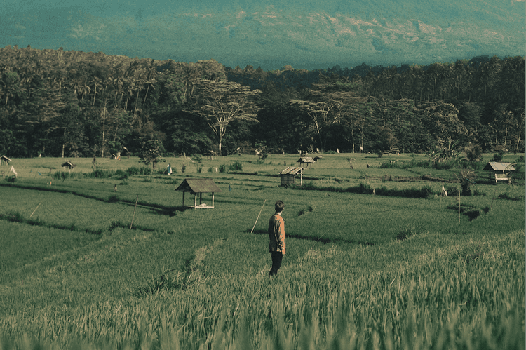 Science-Driven Strategies to Put Wellness Into Action