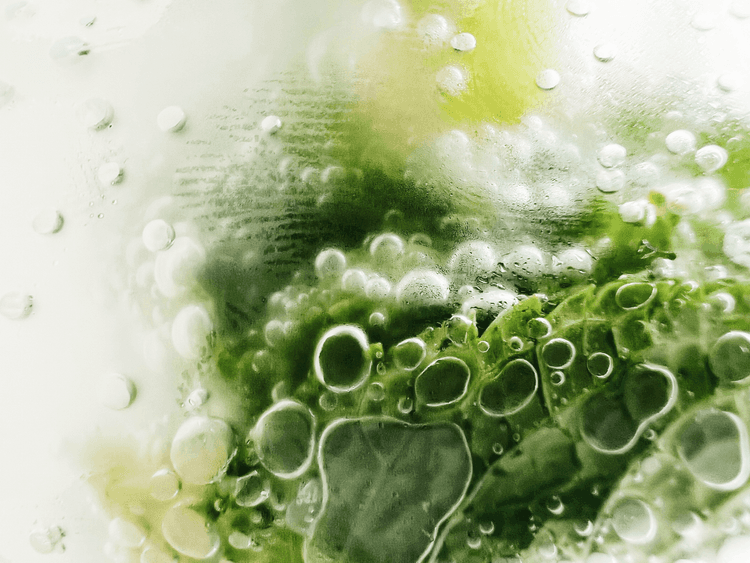 Understanding Your Viome Health Scores: Cellular Energy and Efficiency