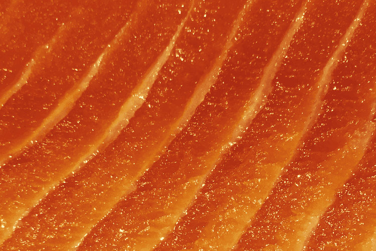 Food for Thought: 10 Brain Healthy Foods for Peak Performance