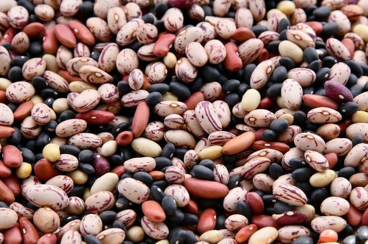 Finding It Hard to Digest Beans? Here Are 8 Tips To Make It Easier
