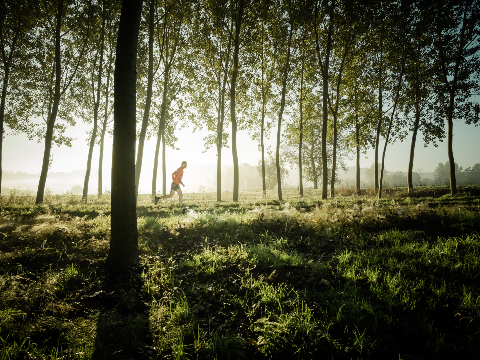 man running in forest sunrise